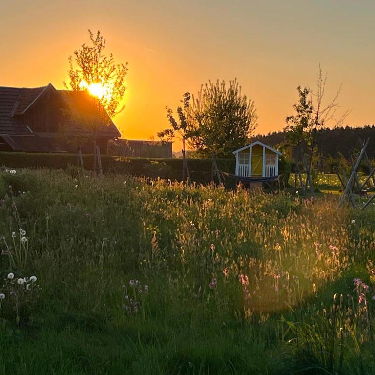 Ferienwohnung Kleines Paradies mit privater Sauna - Apartment mit 2 Schlafzimmern und Terrasse - 40