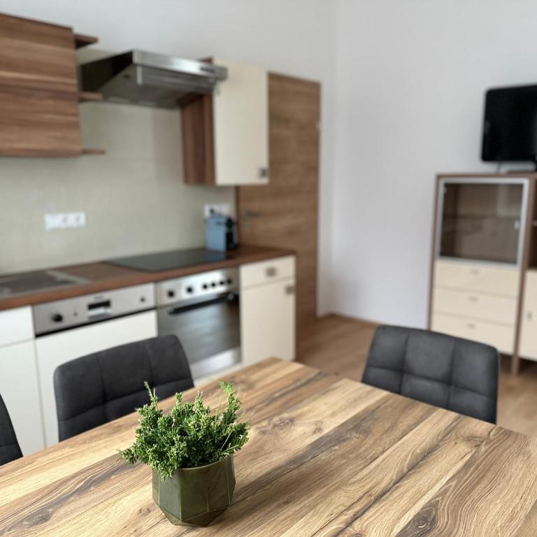 Ferienwohnung Schneeflock - Apartment mit 1 Schlafzimmer - 3