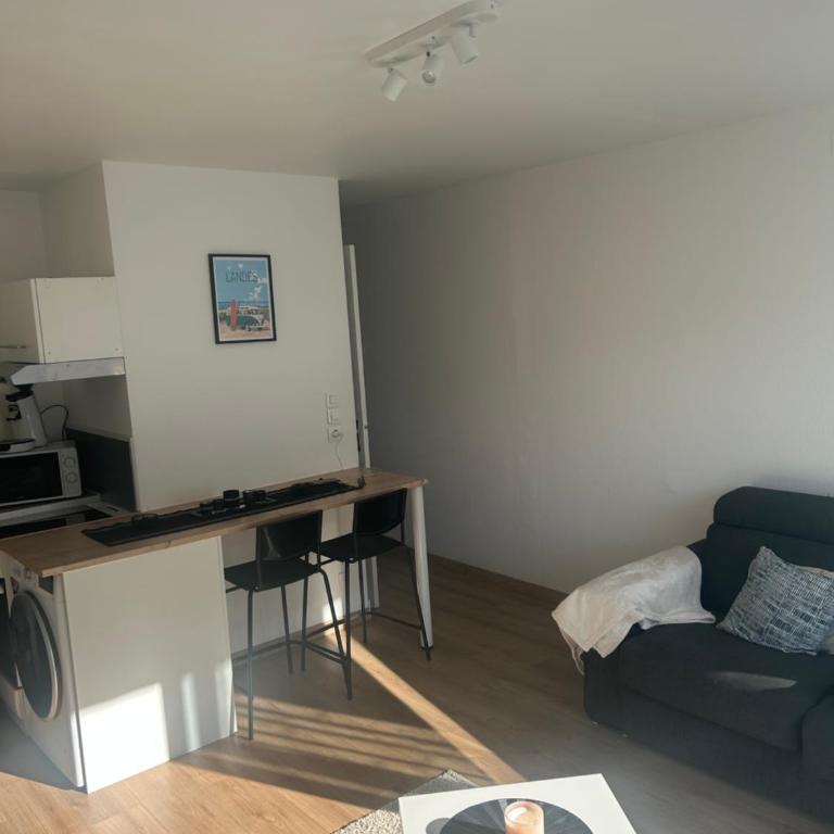 Appartement T2 - Appartement 1 Chambre - 7