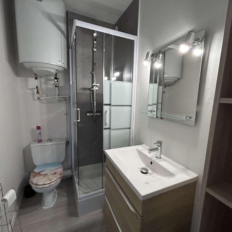 Studio rénové, 2 couchages, mer, commerces, 6e étage, TV, balcon, animaux admis - FR-1-224C-138 - Appartement (2 Adultes) - 14