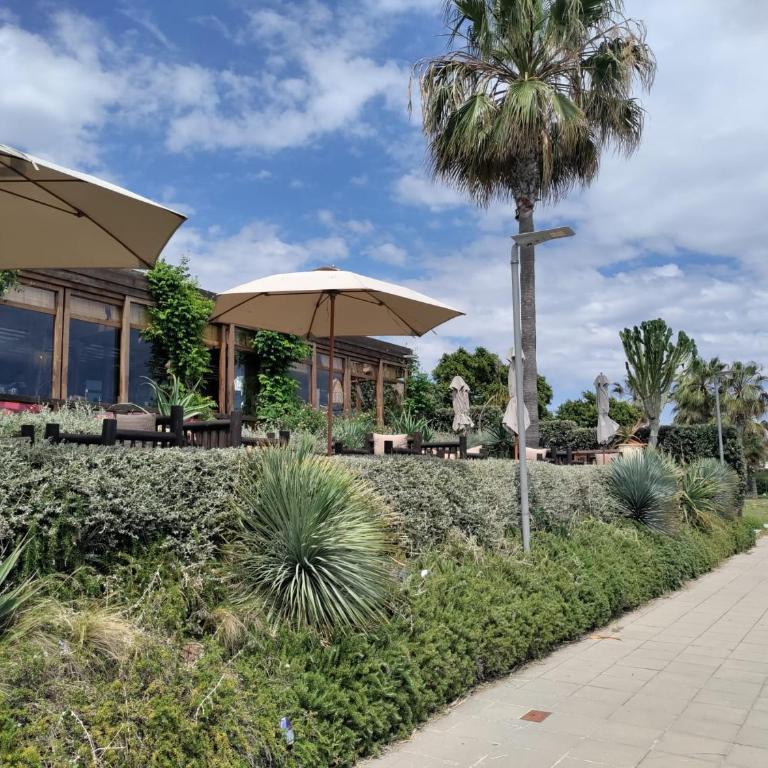 Beautiful 2-Bedroom Frontline Beach Apartment - Apartamento de 2 dormitorios - 35