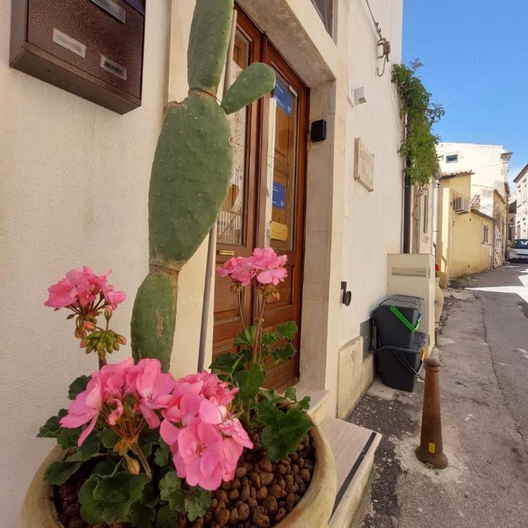 Squisita Home - Appartamento con doccia - 19