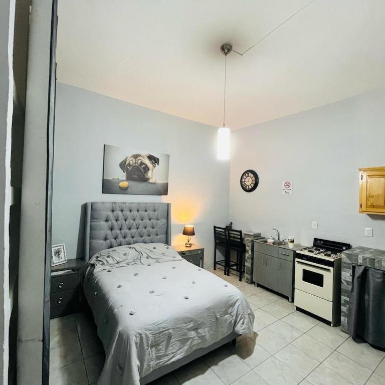 Miniloft En El Centro De Guadalajara - One-Bedroom Apartment - 1