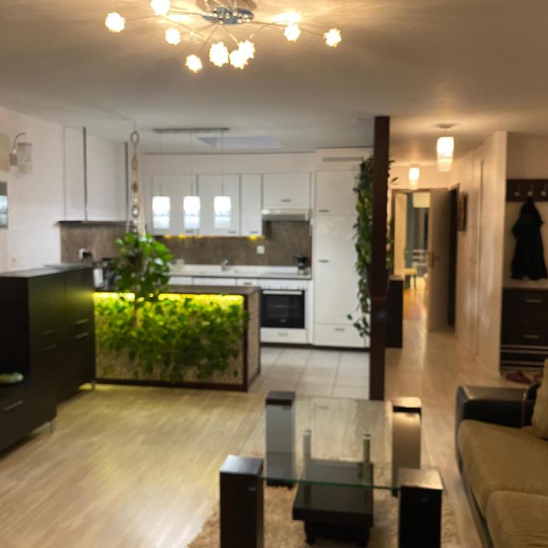 Mountain View - Appartamento con 2 Camere da Letto - 4