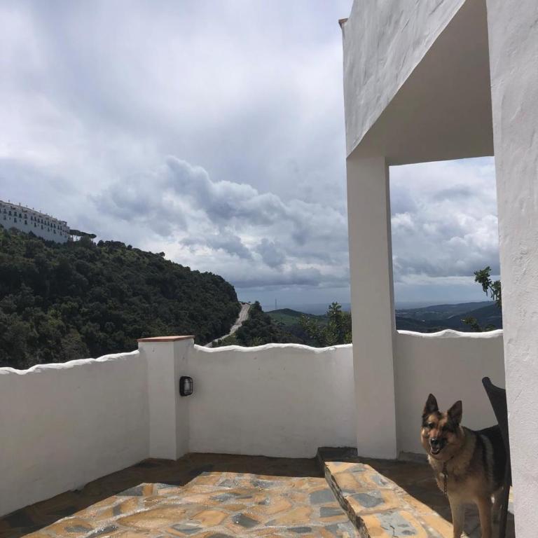 Villa Huertezuela - Apartamento de 1 dormitorio - 12