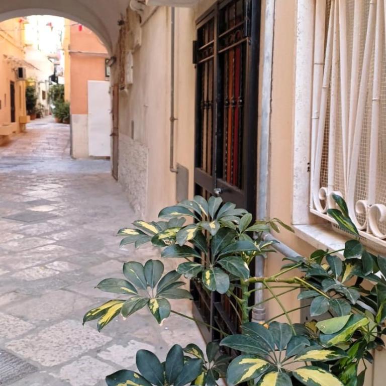 Casetta meraviglia - Appartamento con 1 Camera da Letto - 20