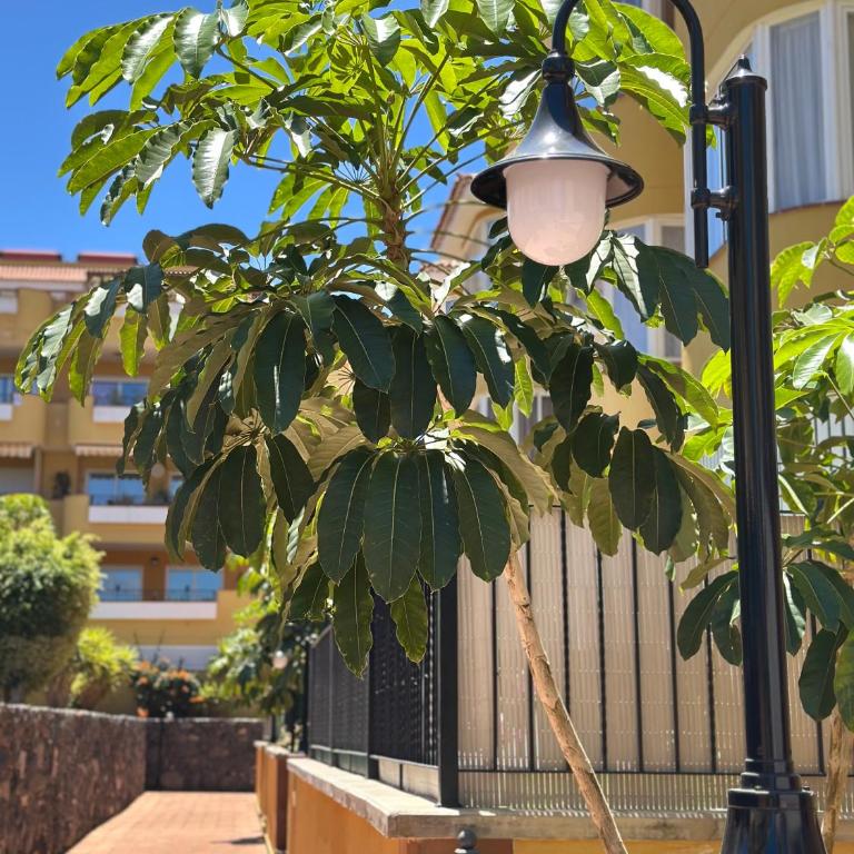 Hermitage Homes RPLA - Apartamento de 2 dormitorios con terraza y vistas al mar - 58
