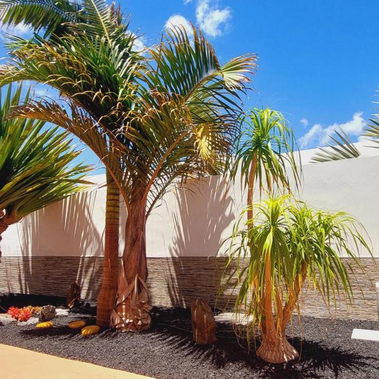 Villa Del Corazon Salinas Golf - Villa with Private Pool - 9