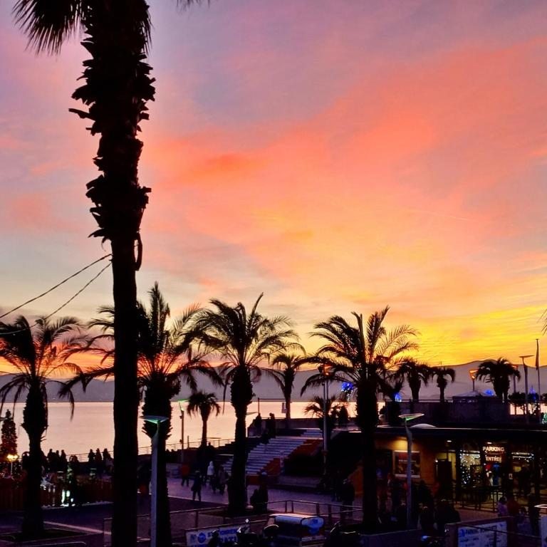" Le Peuplier" Studio cosy Fréjus Plage -Clim-wifi - Studio - 21
