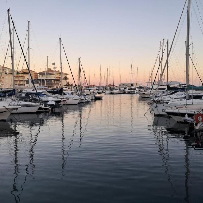 " Le Peuplier" Studio cosy Fréjus Plage -Clim-wifi - Studio - 23