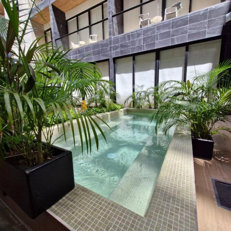 Luxury Apartment 2Br in PdC, Steps from Beach - Apartment - 26