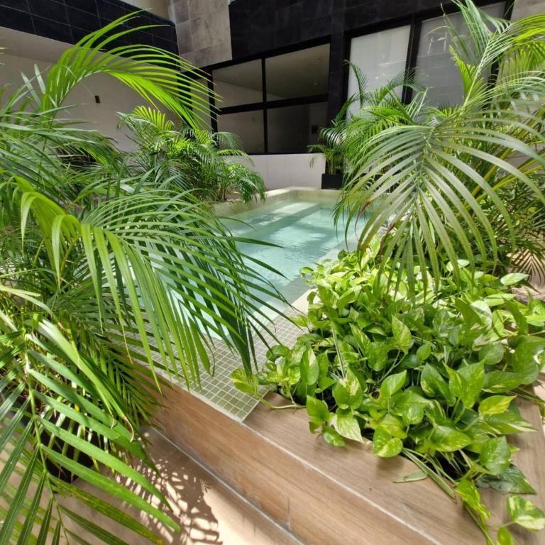 Luxury Apartment 2Br in PdC, Steps from Beach - Apartment - 27