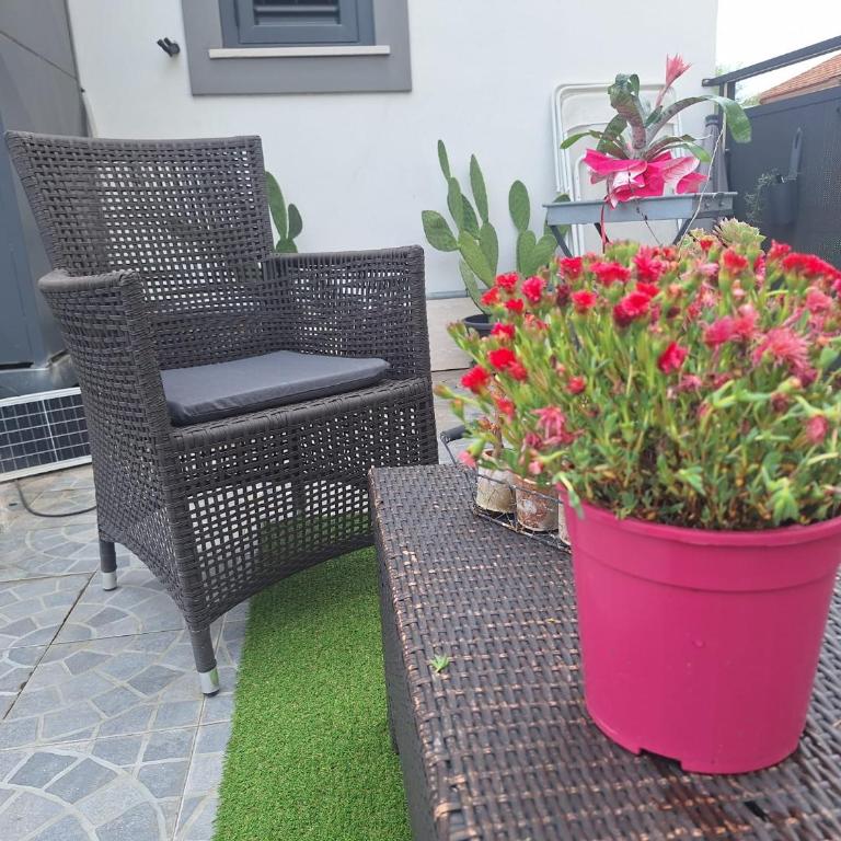 Vic Pigneto, Luxury House Terrace Roma - Appartamento Superior - 73