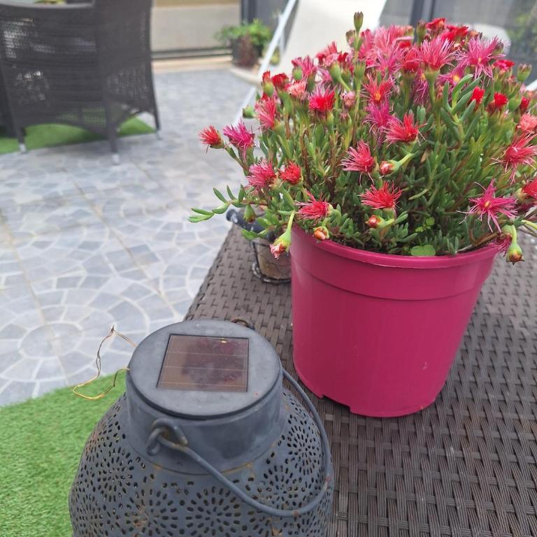 Vic Pigneto, Luxury House Terrace Roma - Appartamento Superior - 78