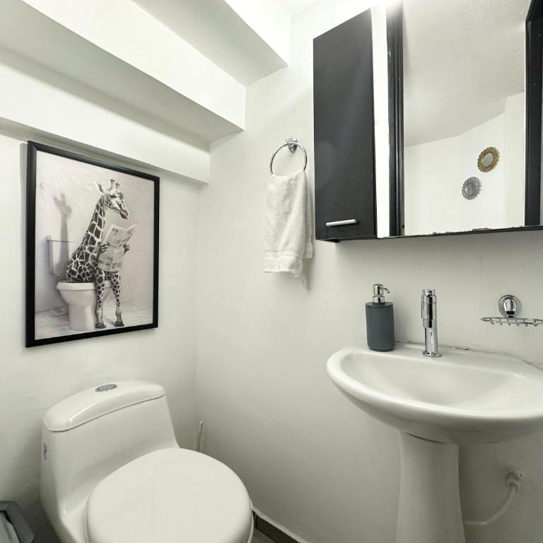 Beautiful house with a pool in Pereira - Casa de 4 dormitorios - 13