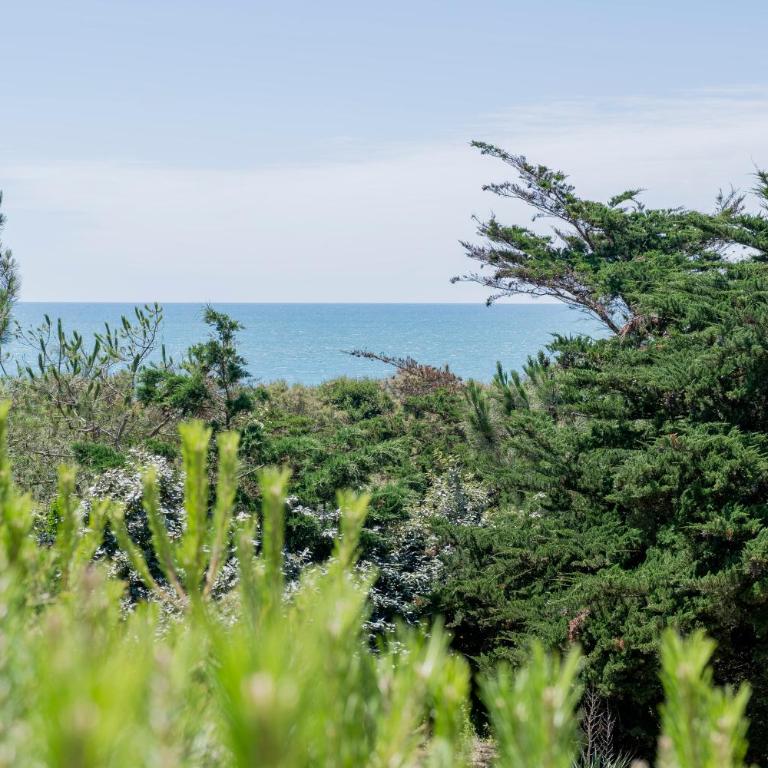 Bel appartement vue mer pour 4 - Appartamento con 1 Camera da Letto - 1