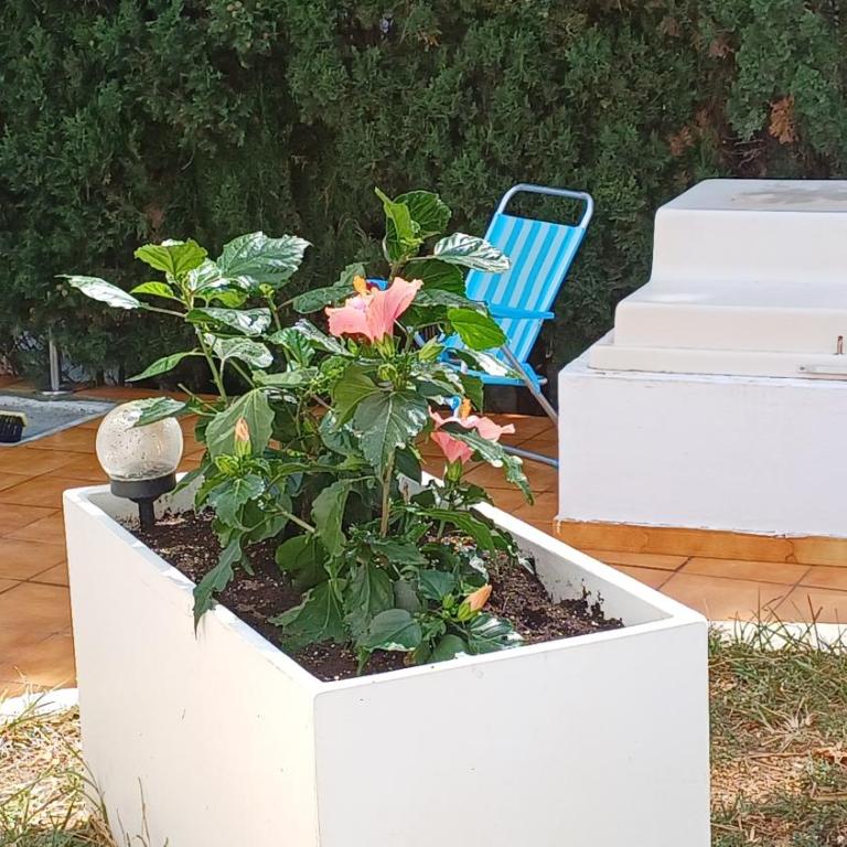 Ferienwohnung mit Privat-Pool - Apartamento de 2 dormitorios - 65