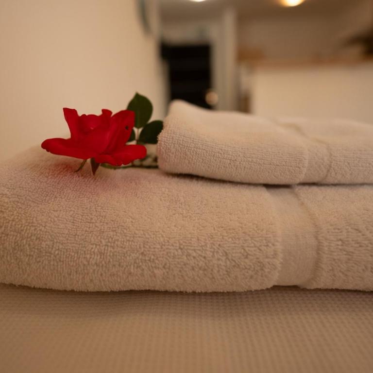Las Anémonas Boulevard - Apartamento de 1 dormitorio - 10