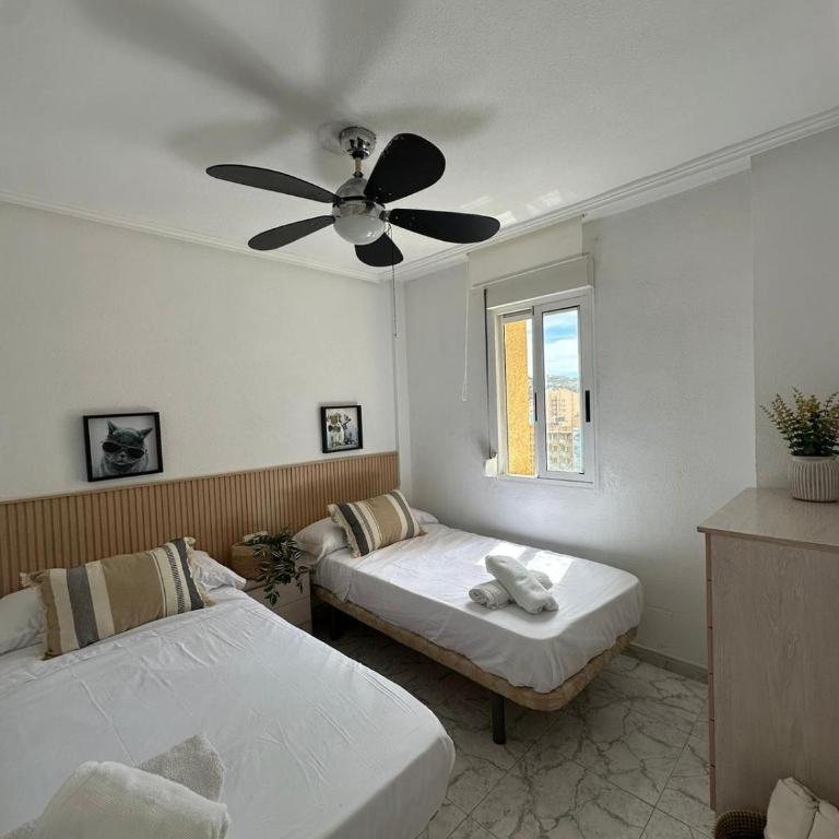 Diego suits - Two-Bedroom Apartment - 5