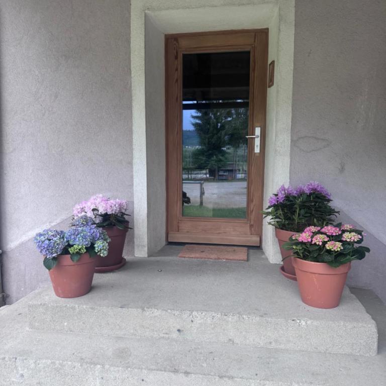 LAROGYs HIDEAWAY - Apartment mit 1 Schlafzimmer - 3