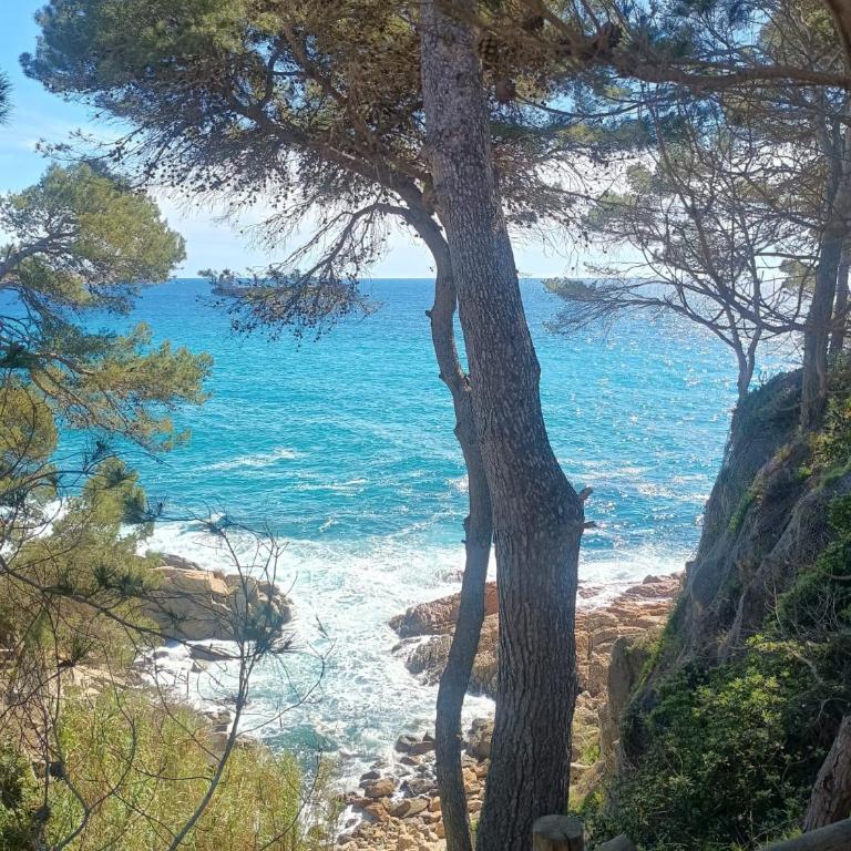 La Sardineta, es un apartamento en la Costa Brava, Palamós 1 minuto de la playa Alquiler temporal mínimo 32 noches - Apartamento de 2 dormitorios - 4