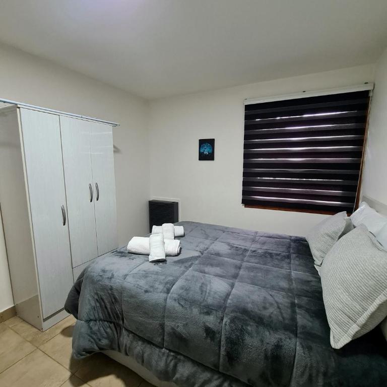 andes fueguinos - One-Bedroom Apartment - 3