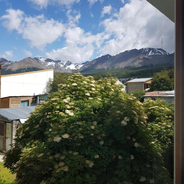 Yeska Apartamentos B - One-Bedroom Apartment - 5