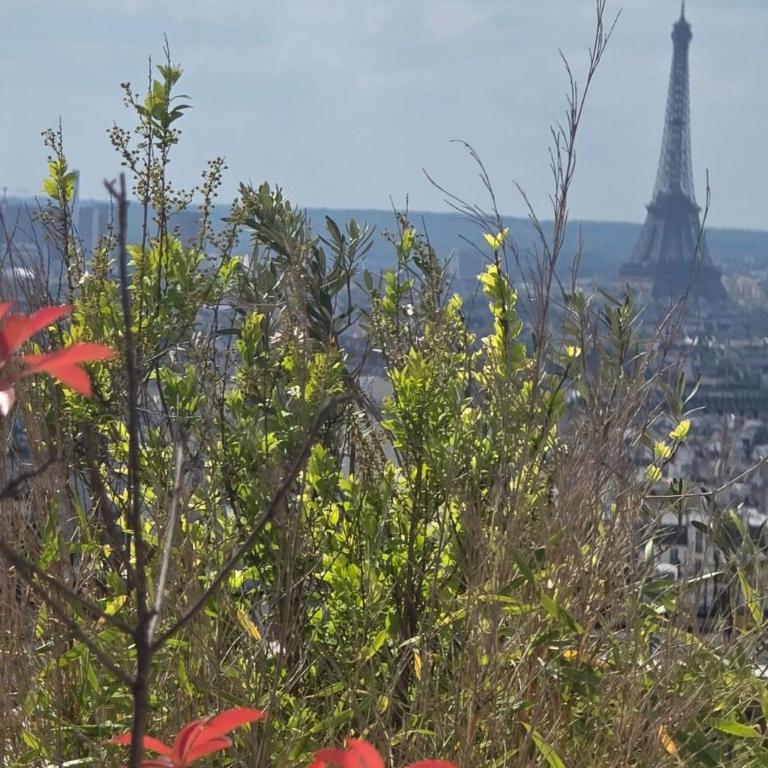 Apartment with terrace and view of Paris - Appartement - 4
