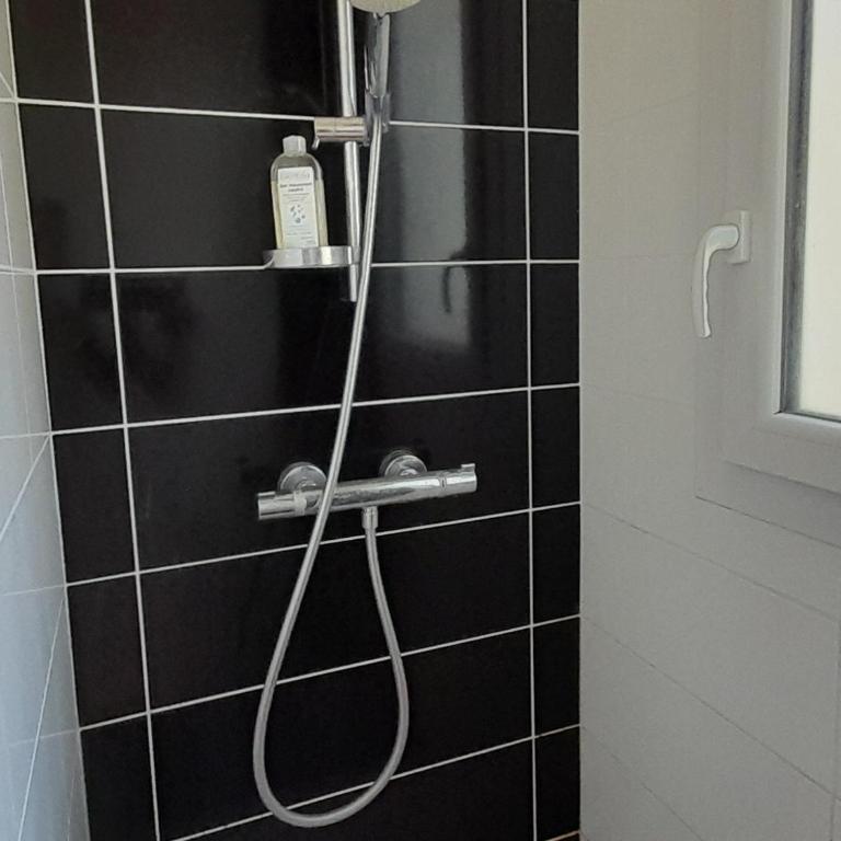 Maison spacieuse à Capbreton, proche port et plages, jusqu'à 6 personnes - FR-1-239-1122 - Haus mit 3 Schlafzimmern - 21