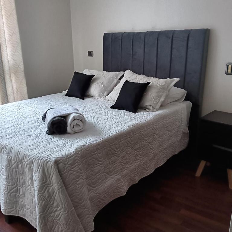 Gasset Apartments Flores Provi - Apartamento de 2 dormitorios - 16