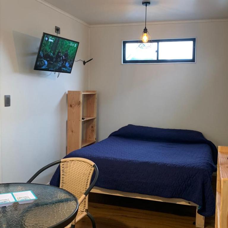 Cabaña un ambiente villarrica - Apartamento de 1 dormitorio - 5