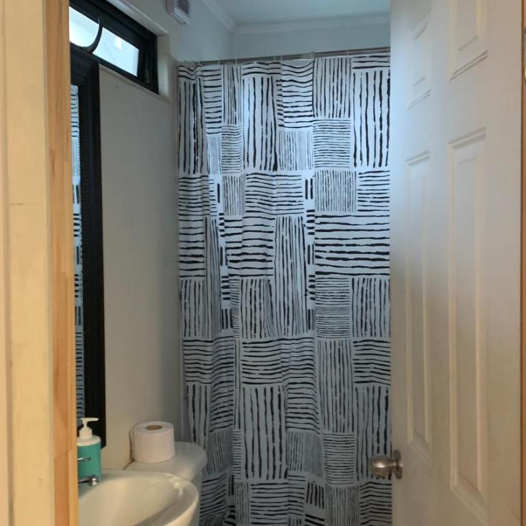 Cabaña un ambiente villarrica - Apartamento de 1 dormitorio - 2