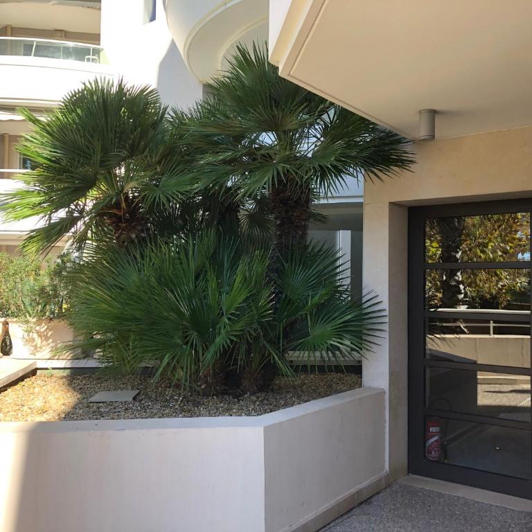 T2 & Garage FRONT DE MER résidence de Standing - One-Bedroom Apartment - 21