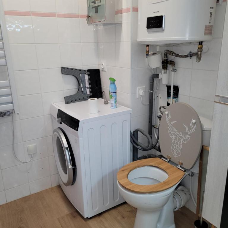 Appartement 2 chambres vue lac - Apartamento de 2 dormitorios - 16