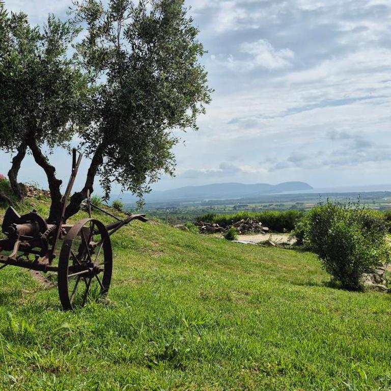 Agriturismo Suite del Conte - Villa con Vista Mare - 42