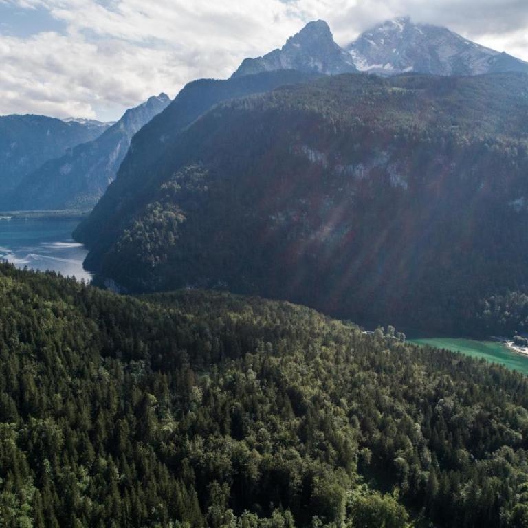 Watzmannblick - Apartment - 8