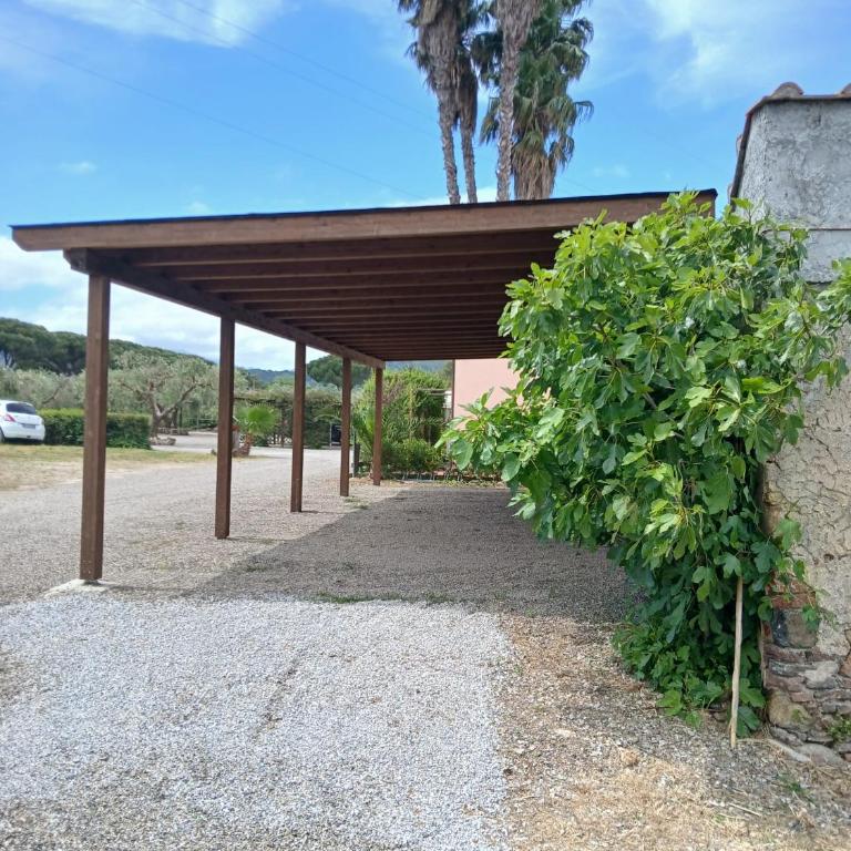 RESIDENCE TERME ISOLA D'ELBA SRL - Appartamento - 1