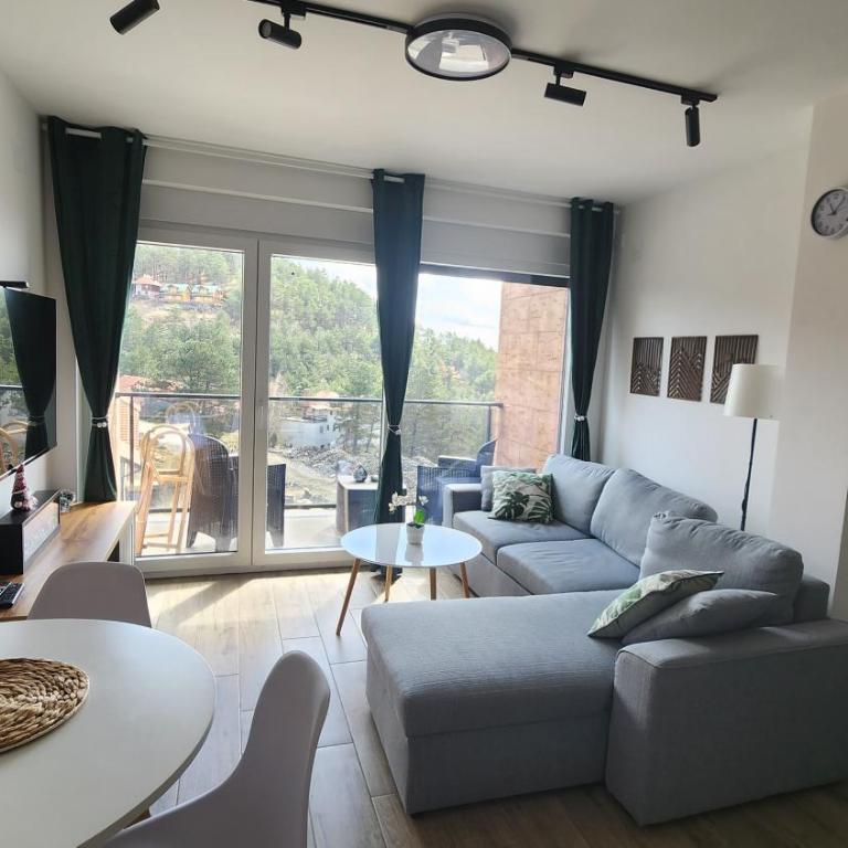 Apartman Vidik Family Divčibare - Apartman sa 1 Spavaćom Sobom - 2