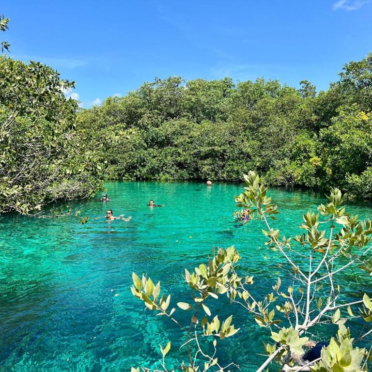 Apartment in Tankah Bay Tulum where Jungle meets Beach - Apartamento de 1 dormitorio - 26