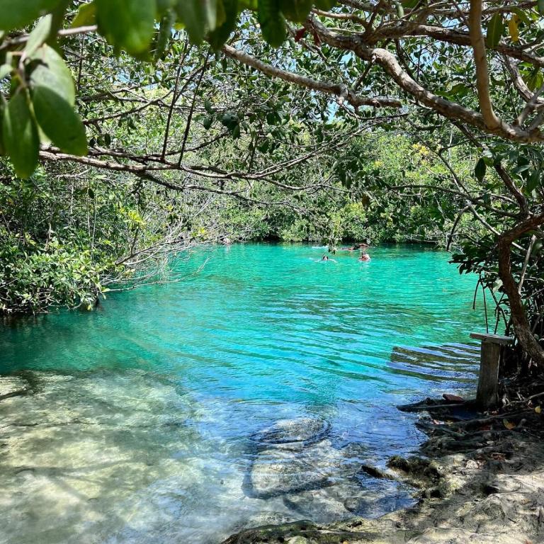 Apartment in Tankah Bay Tulum where Jungle meets Beach - Apartamento de 1 dormitorio - 27