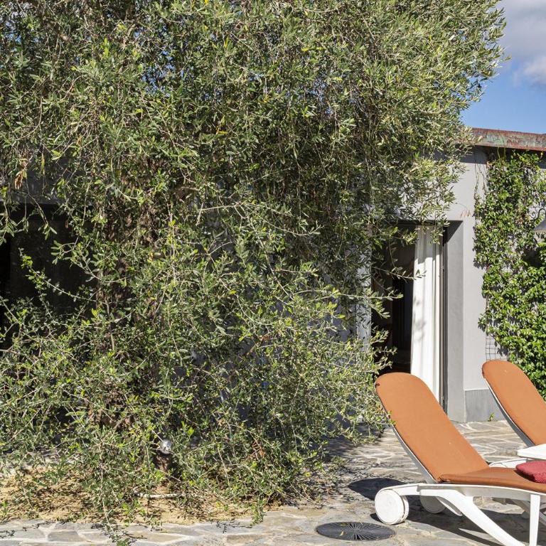 Villa San Massimo by Wonderful Italy - Villa con Piscina Privata - 15
