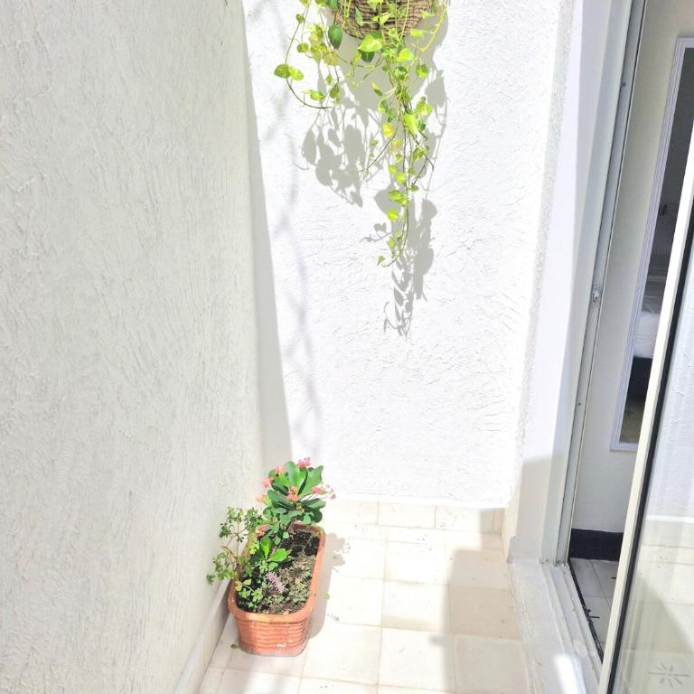 Apartasuite Confort, Ideal Location, to the North - Apartamento de 1 dormitorio - 9