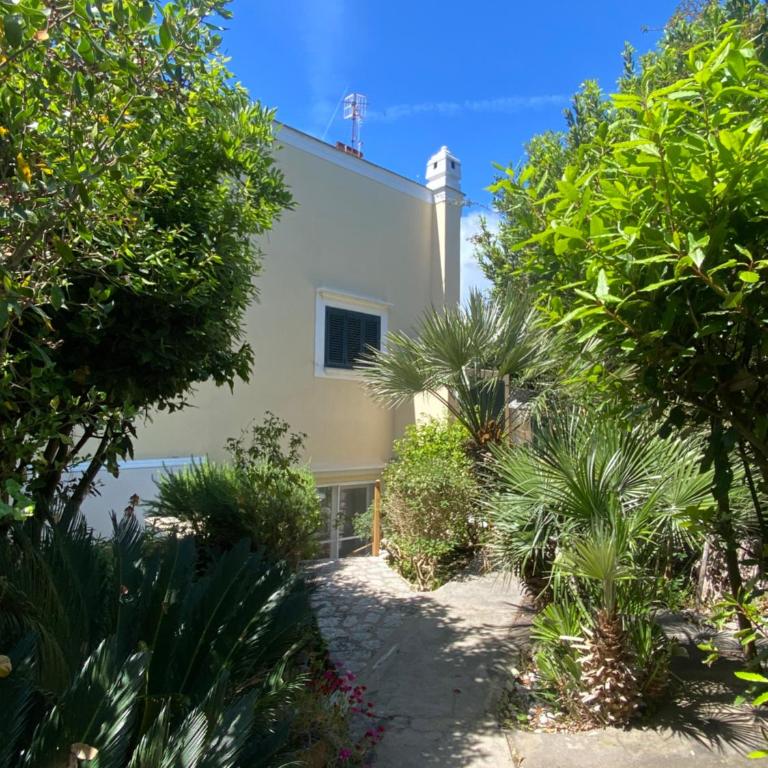 Villa Marino in Aurora - Villa - 1