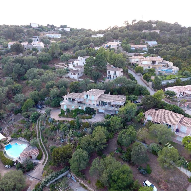 la grande piscine - Villa Standard - 1