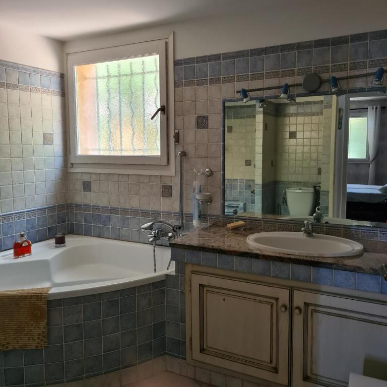la grande piscine - Villa Standard - 14