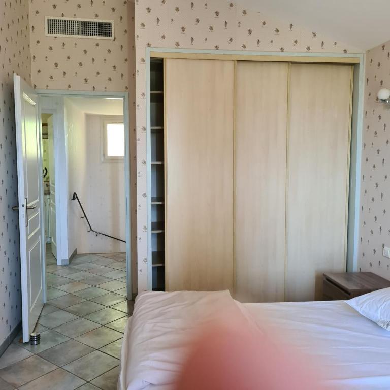la grande piscine - Villa Standard - 16