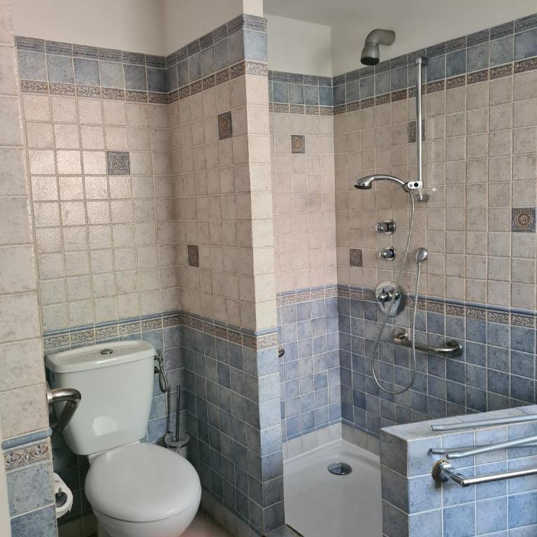 la grande piscine - Villa Standard - 15