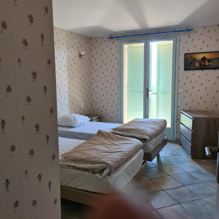 la grande piscine - Villa Standard - 17