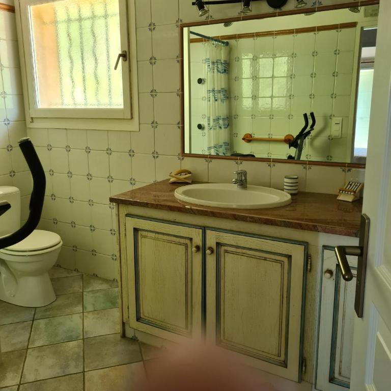 la grande piscine - Villa Standard - 19