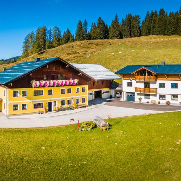 Bio-Bergbauernhof Lasserbauer - Apartment mit 2 Schlafzimmern und Bergblick - 4